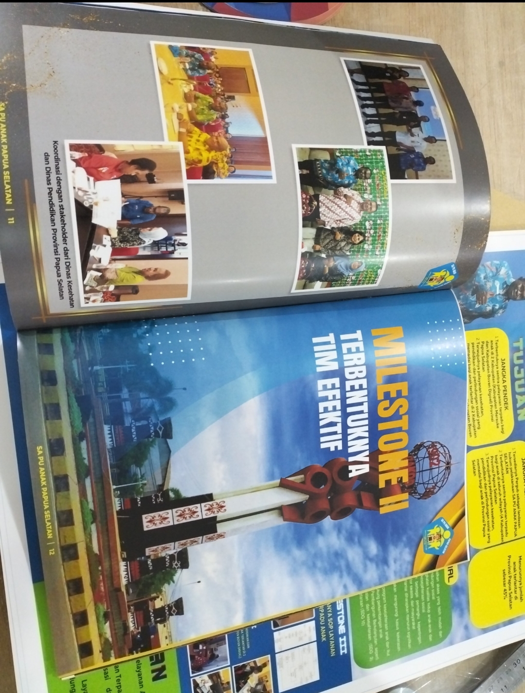 Contoh Hasil Karya Jasa Tugas Diklat PKN, PKA, PKP